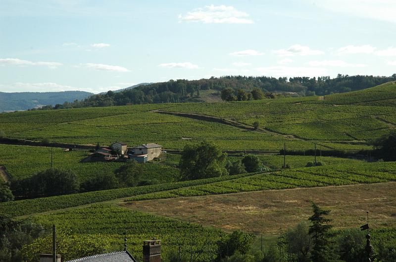 Brouilly ready for Vendage.JPG